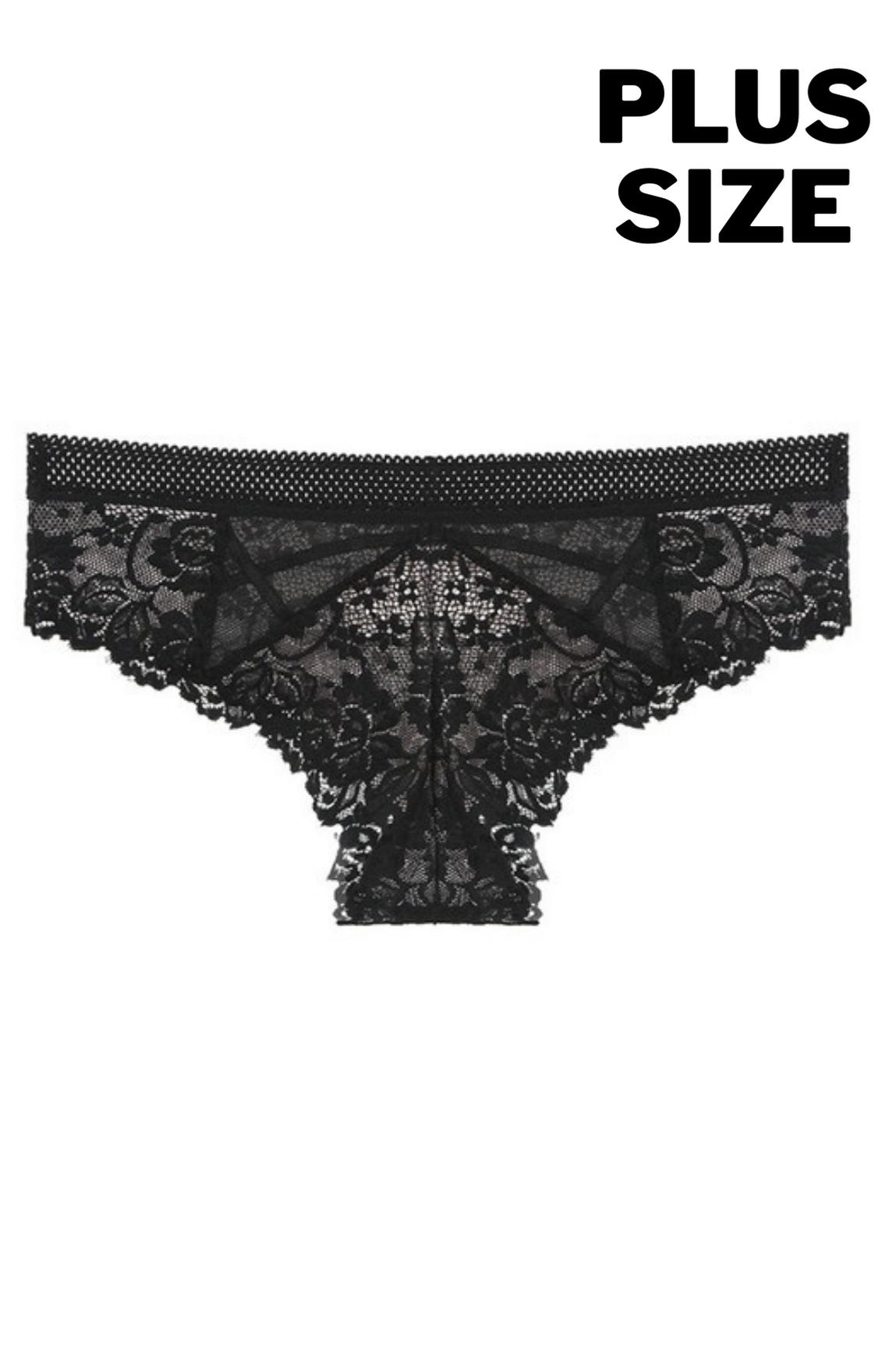 Lace Bikini Plus Size